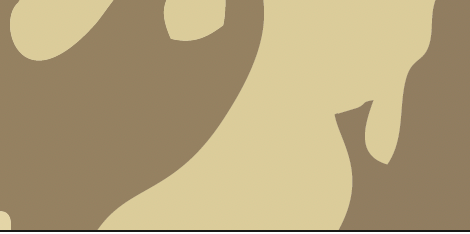 AirMaks Katran SC Available in .177 and .22 calibers and Removable Buttstock or Wood Laminate