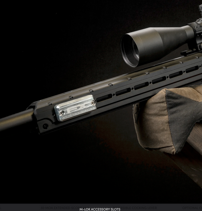 FX Panthera Mk II 700mm .30 caliber
