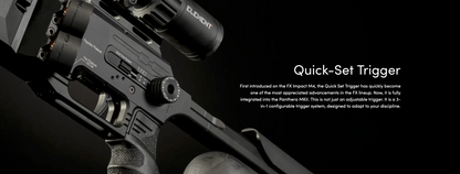 FX Panthera MkII .22 EXP Black - 600mm Barrel PA2-550306-021-00